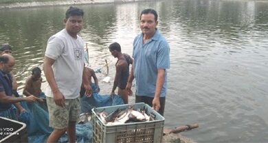 सेवा संकल्प से संवरी उम्मीद : 0.40 हेक्टेयर में गुलाब पटेल ने लिखा मछली पालन से समृद्धि का नया अध्याय