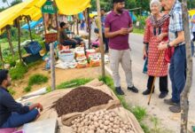 विदेशी पर्यटकों को आकर्षित कर रहा छत्तीसगढ़ का ग्रामीण पर्यटन मॉडल
