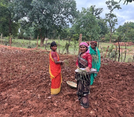 लेमन ग्रास की खुशबू से महक रही आत्मनिर्भरता, जीपीएम की महिलाएं बढ़ रहीं ‘लखपति दीदी’ बनने की राह पर लेमन ग्रास की खुशबू से महक रही आत्मनिर्भरता, जीपीएम की महिलाएं बढ़ रहीं ‘लखपति दीदी’ बनने की राह पर