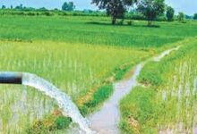 छत्तीसगढ़ में सिंचाई और विकास को बढ़ावा