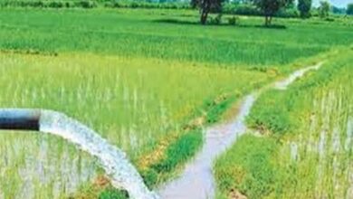 छत्तीसगढ़ में सिंचाई और विकास को बढ़ावा छत्तीसगढ़ में सिंचाई और विकास को बढ़ावा