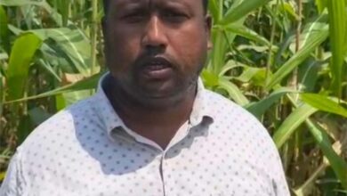 सेवा की कहानी : कृषक उन्नति योजना से प्रगतिशील किसान बने श्यामदेव गुप्ता
