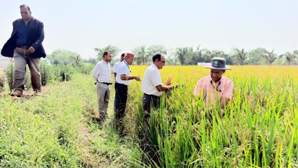 माटी में रोजगार- प्रतिदिन 300 रुपए की मजदूरी से श्रमिक परिवारों को मिला मजबूत आर्थिक आधार, पलायन पर लगी रोक
