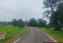 सेवा की कहानी : जनमन सड़क से बदली 185 बैगा परिवारों की राह