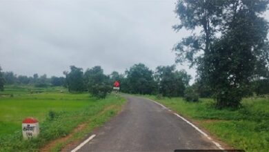 सेवा की कहानी : जनमन सड़क से बदली 185 बैगा परिवारों की राह