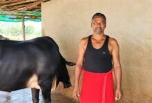 सेवा की कहानी : राज्य डेयरी उद्यमिता योजना से मनोज कुमार पटेल ने संवारा डेयरी व्यवसाय, आत्मनिर्भरता की ओर बढ़ाए कदम