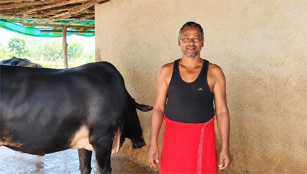 सेवा की कहानी : राज्य डेयरी उद्यमिता योजना से मनोज कुमार पटेल ने संवारा डेयरी व्यवसाय, आत्मनिर्भरता की ओर बढ़ाए कदम सेवा की कहानी : राज्य डेयरी उद्यमिता योजना से मनोज कुमार पटेल ने संवारा डेयरी व्यवसाय, आत्मनिर्भरता की ओर बढ़ाए कदम
