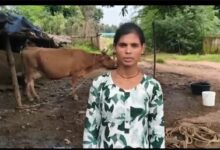सेवा संकल्प अभियान : सेवा की कहानीः डेयरी व्यवसाय से संध्या बनीं आत्मनिर्भर, दूध की बिक्री से हर महीने हो रही 15 हजार रुपये की बचत