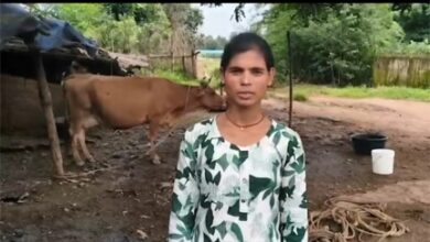 सेवा संकल्प अभियान : सेवा की कहानीः डेयरी व्यवसाय से संध्या बनीं आत्मनिर्भर, दूध की बिक्री से हर महीने हो रही 15 हजार रुपये की बचत