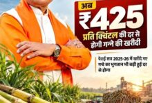 गन्ना मूल्य में छत्तीसगढ़ देश में नंबर वन गन्ना मूल्य में छत्तीसगढ़ देश में नंबर वन