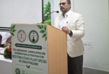 वन मंत्री केदार कश्यप के मार्गदर्शन में राज्य की 127 संकटग्रस्त पादप प्रजातियों के संरक्षण पर हुई कार्यशाला