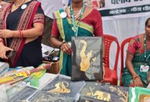 सेवा संकल्प अभियान : सेवा की कहानी : धान के पैरे से धनेश्वरी ने गढ़ी आत्मनिर्भरता की नई पहचान, कला को बनाया कमाई का जरिया सेवा संकल्प अभियान : सेवा की कहानी : धान के पैरे से धनेश्वरी ने गढ़ी आत्मनिर्भरता की नई पहचान, कला को बनाया कमाई का जरिया