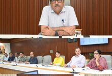 कुपोषण और एनीमिया से मुक्ति के लिए छत्तीसगढ़ में शुरू होगा हर-घर मुनगा, घर-घर मुनगा अभियान
