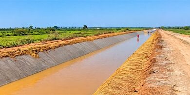 सेवा की कहानी : सुरही जलाशय योजना से 1,362 हेक्टेयर क्षेत्र में बढ़ी सिंचाई सुविधा, किसानों की खुशहाली को मिला नया आधार