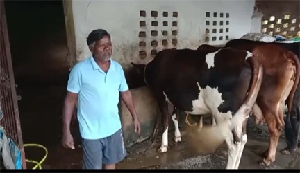 सेवा की कहानी : एक गाय से शुरू हुआ सफर, आज 10 पशुओं का समृद्ध पशुधन