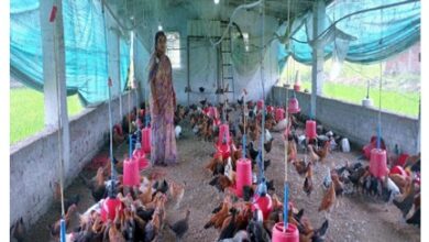 सेवा की कहानी : विभागीय योजनाओं के अभिसरण से ग्रामीण महिला बनीं उद्यमी